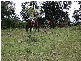 6065 The Ridgeway, Lisarow NSW 2250