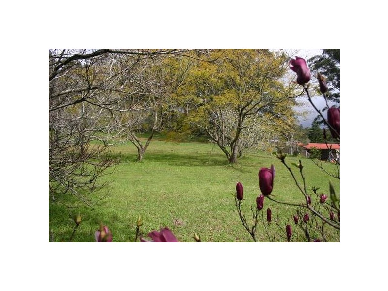 8620 Coachwood Road , Matcham NSW 2250