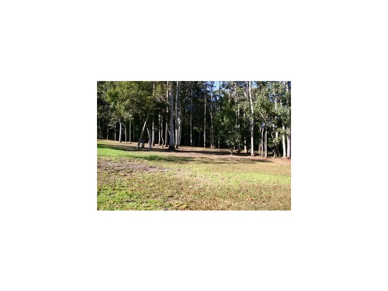 134 Wattletree Road, Holgate NSW 2250