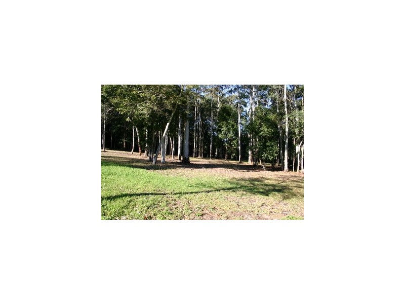 134 Wattletree Road, Holgate NSW 2250
