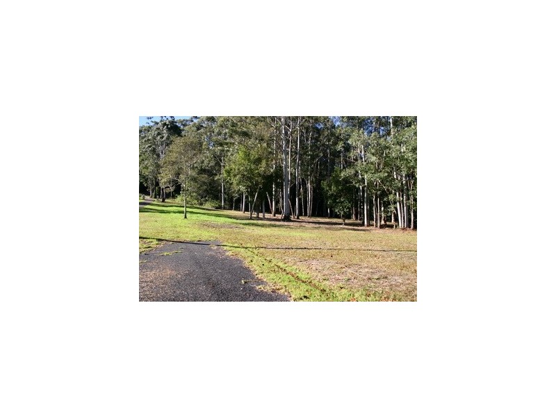 134 Wattletree Road, Holgate NSW 2250