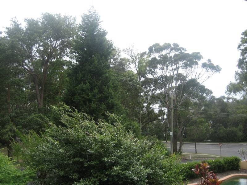 4 McGee Avenue, Wamberal NSW 2260