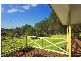 82 Tumbi Road, Wamberal NSW 2260