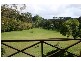 82 Tumbi Road, Wamberal NSW 2260