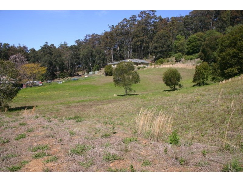 5 & 6 Coolong Road, Tumbi Umbi NSW 2261