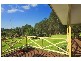 82 Tumbi Road, Wamberal NSW 2260