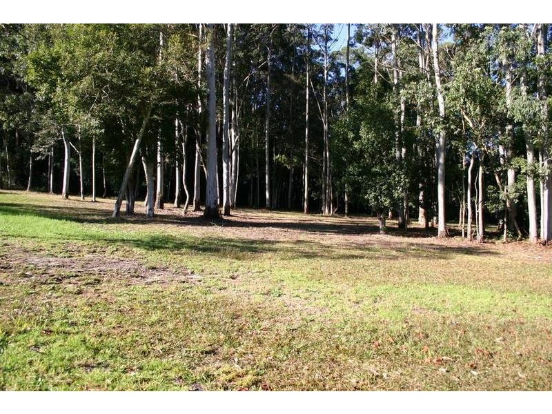 208 Wattletree Road, Holgate NSW 2250