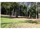 208 Wattletree Road, Holgate NSW 2250