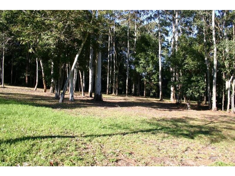 208 Wattletree Road, Holgate NSW 2250