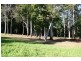208 Wattletree Road, Holgate NSW 2250