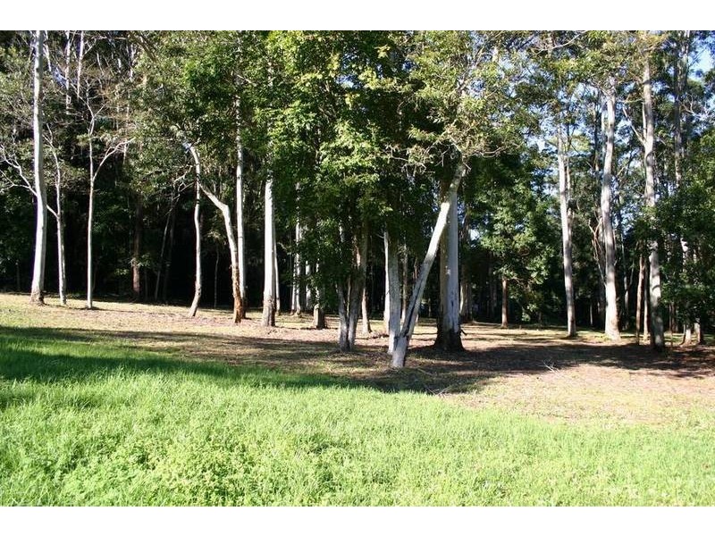 208 Wattletree Road, Holgate NSW 2250