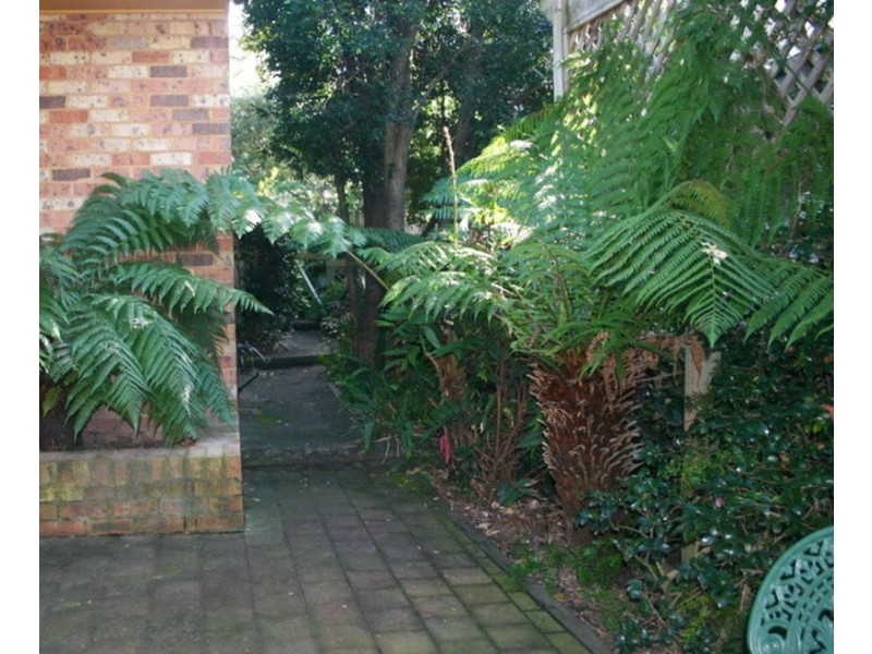 2/821 The Entrance Road, Wamberal NSW 2260