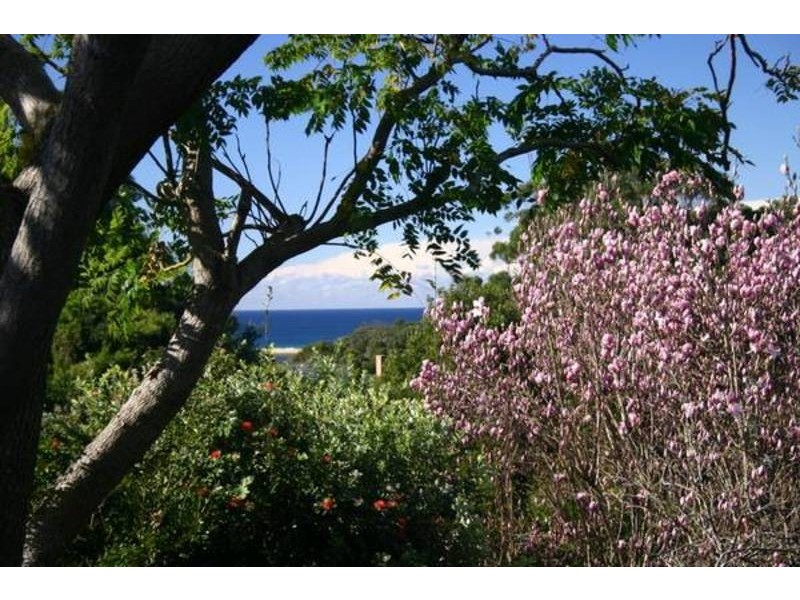 340 Scenic Highway, Terrigal NSW 2260