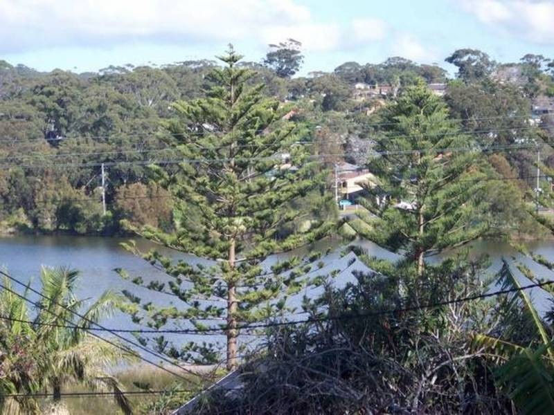 47 Lumeah Avenue, Wamberal NSW 2260