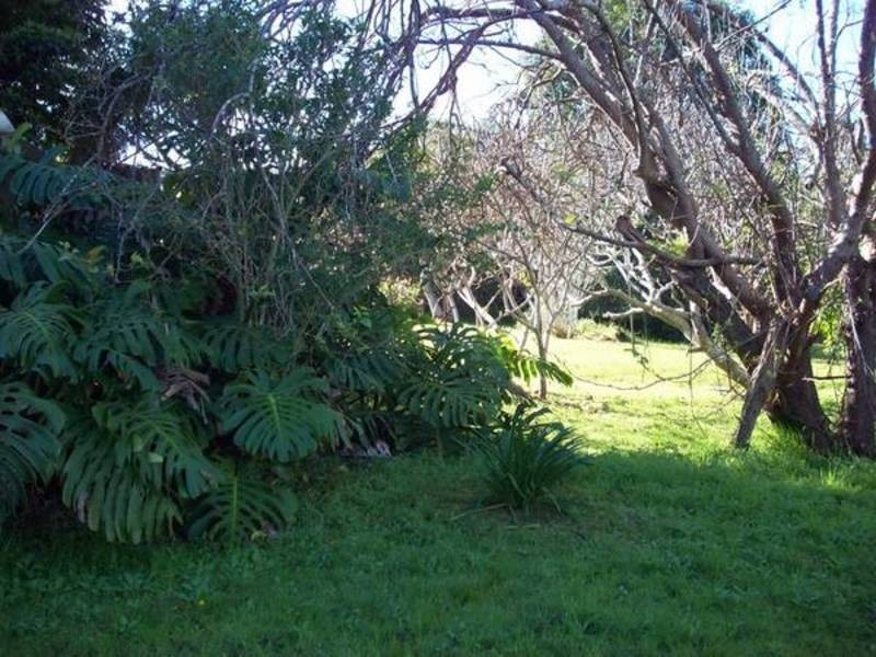 47 Lumeah Avenue, Wamberal NSW 2260