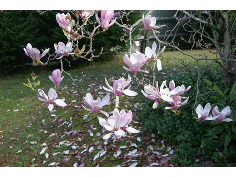 39 Worthing Road, Erina NSW 2250