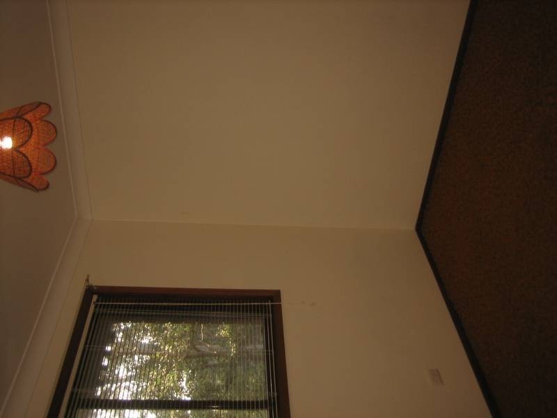 164/b Scenic Highway, Terrigal NSW 2260