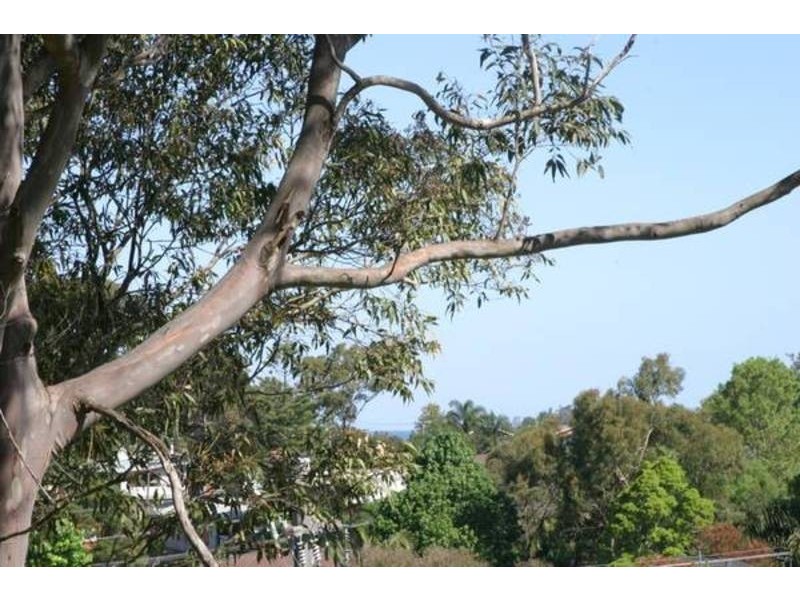 27 Aldinga Drive, Wamberal NSW 2260