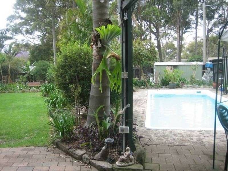 Wamberal NSW 2260