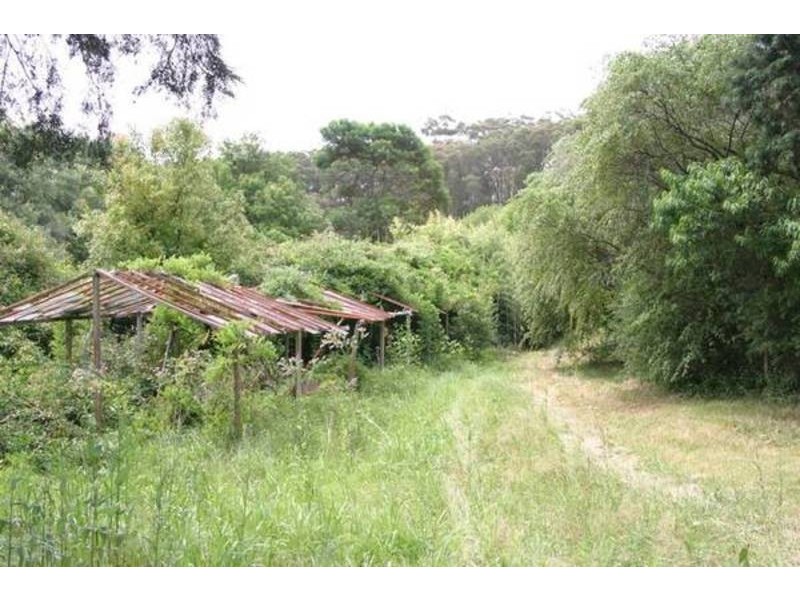 321 Terrigal Drive, Erina NSW 2250