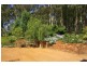 82 Tumbi Road, Wamberal NSW 2260