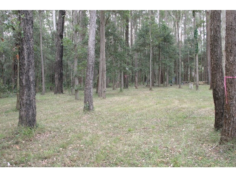 2 Picketts Valley Road, Picketts Valley NSW 2251