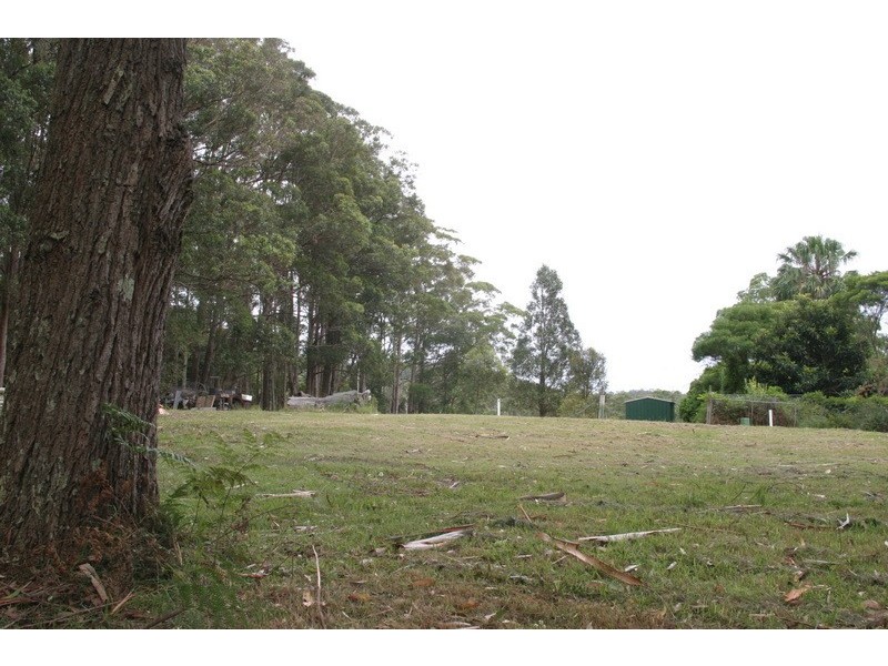 2 Picketts Valley Road, Picketts Valley NSW 2251