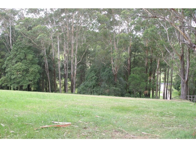 3 Picketts Valley Road, Picketts Valley NSW 2251