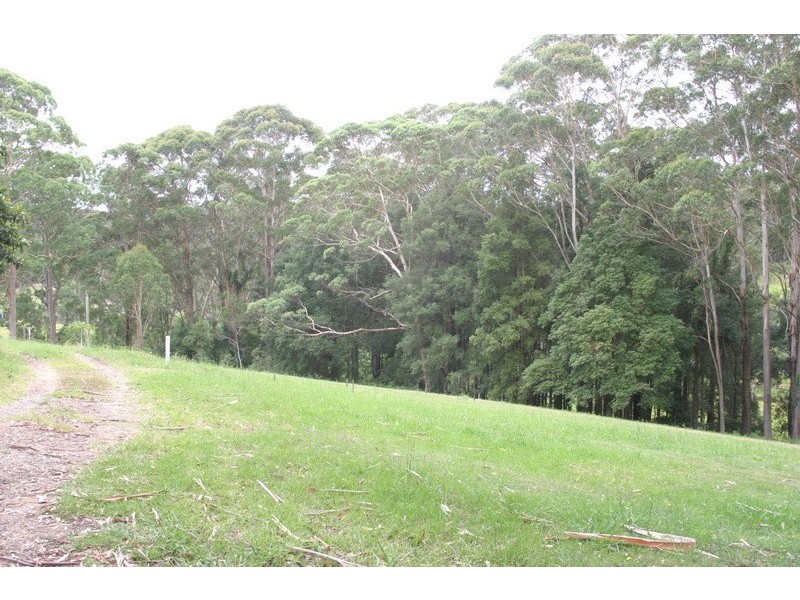 3 Picketts Valley Road, Picketts Valley NSW 2251