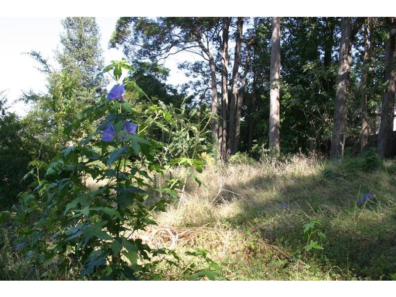 89A Old Gosford Road, Wamberal NSW 2260