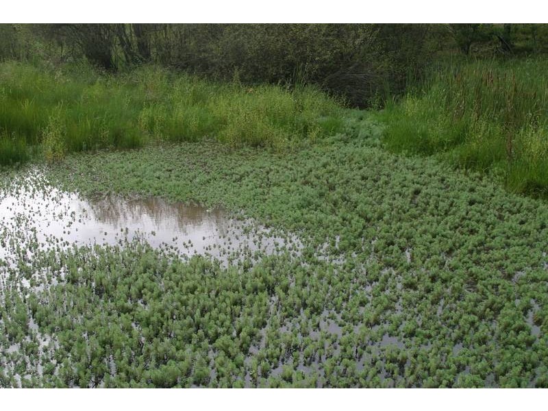 69 Sarah Road, Matcham NSW 2250