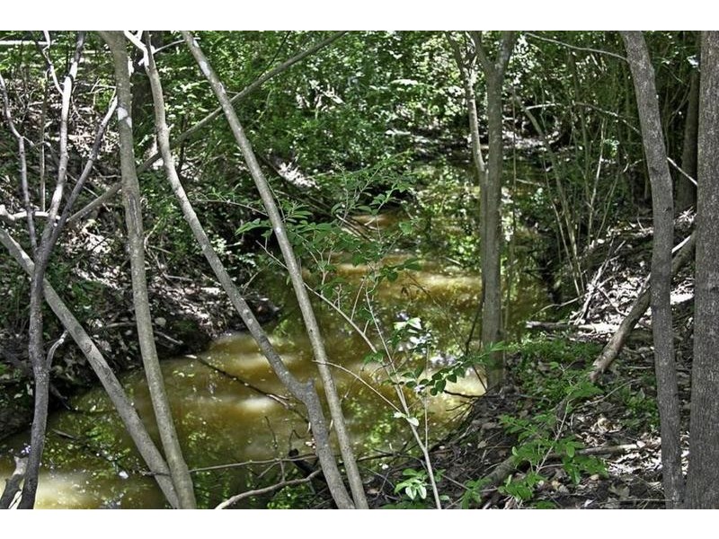 2/87 Oak Road, Matcham NSW 2250