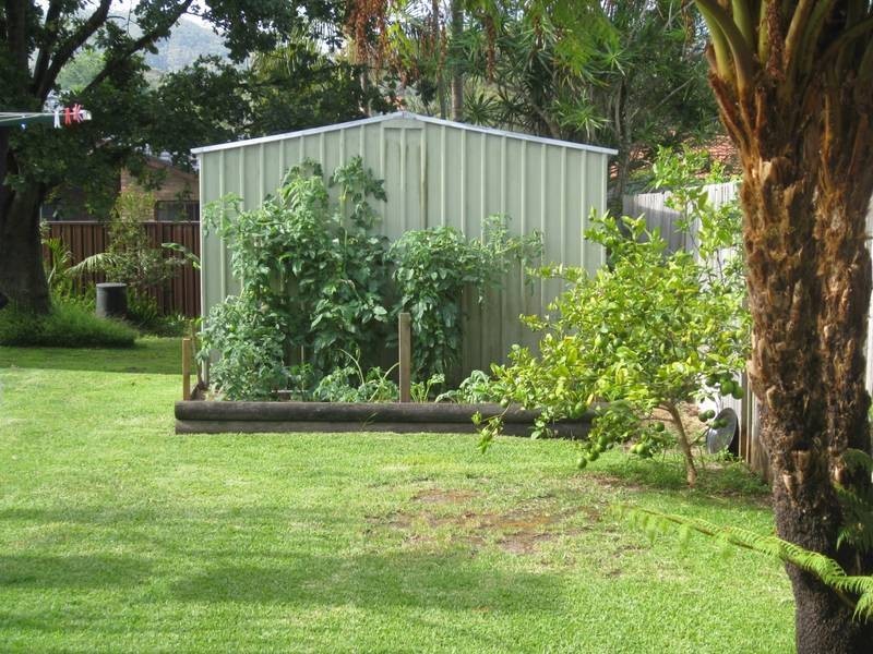 19 Old Gosford Road, Wamberal NSW 2260