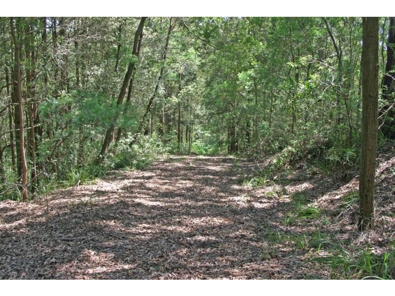 Lot 279 The Ridgeway, Tumbi Umbi NSW 2261