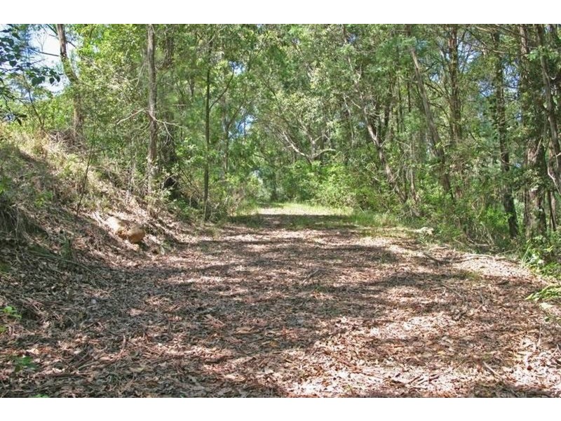 Lot 279 The Ridgeway, Tumbi Umbi NSW 2261