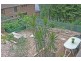 6 Somerset Close, Wamberal NSW 2260