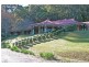 37 Murina Close, Holgate NSW 2250