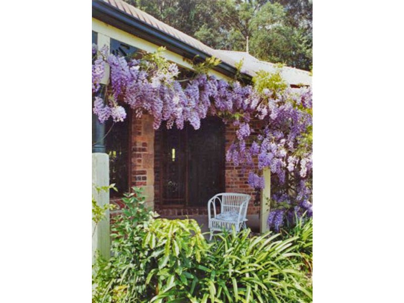 37 Murina Close, Holgate NSW 2250