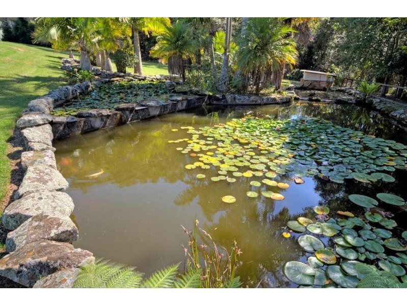 67 Picketts Valley Road, Picketts Valley NSW 2251