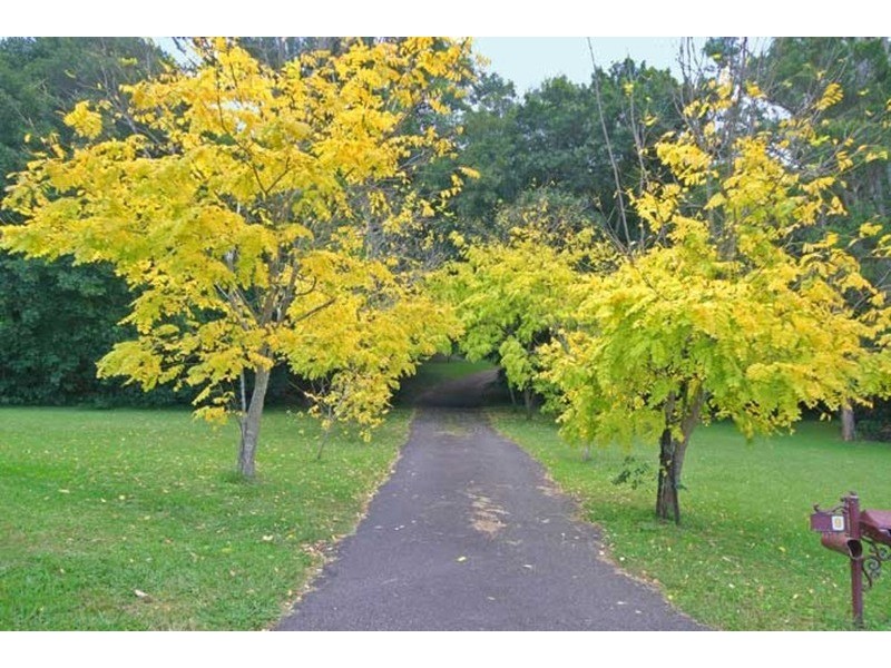 9 Pescud Close, Tumbi Umbi NSW 2261