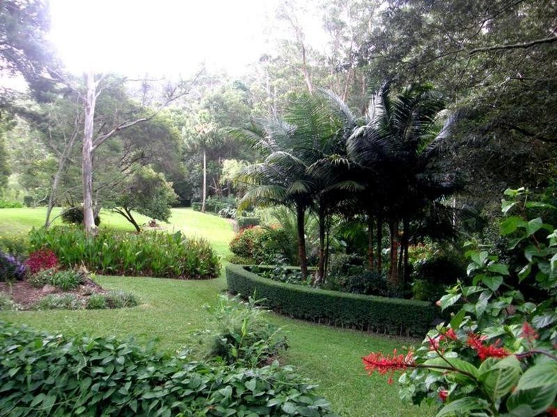 229 Oak Road, Matcham NSW 2250
