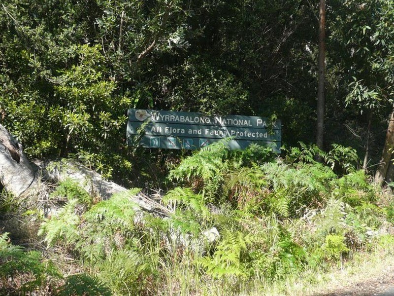 54 Rickard Street, Bateau Bay NSW 2261