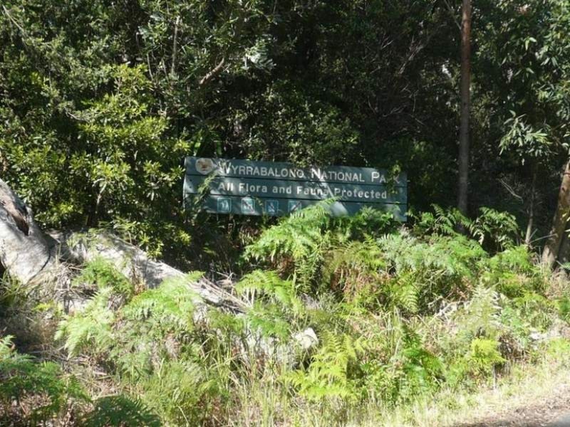 54 Rickard Street, Bateau Bay NSW 2261