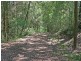 Lot 279 The Ridgeway Road, Tumbi Umbi NSW 2261