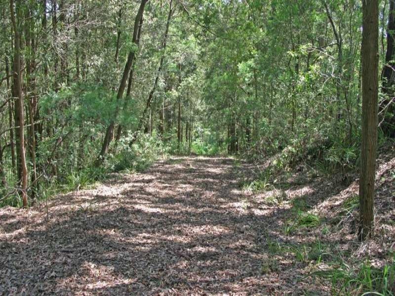 Lot 279 The Ridgeway Road, Tumbi Umbi NSW 2261