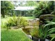 8 Wattletree Road, Holgate NSW 2250
