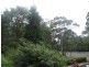 4 McGee Avenue, Wamberal NSW 2260