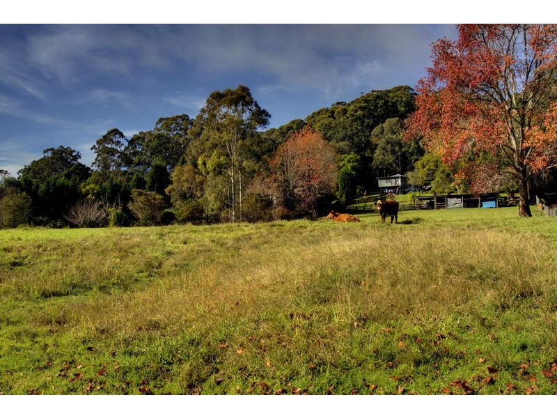 163 Matcham  Road, Matcham NSW 2250