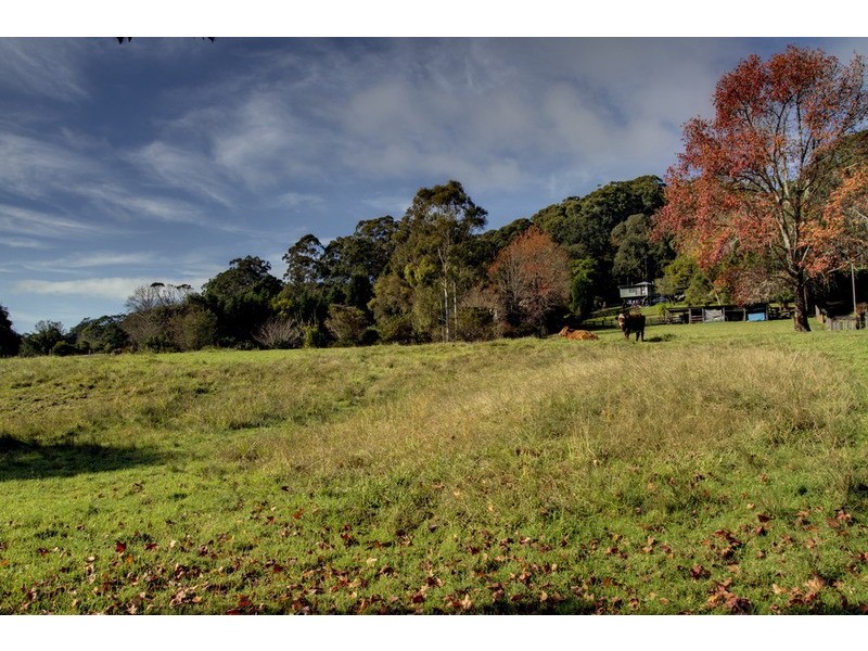 163 Matcham  Road, Matcham NSW 2250