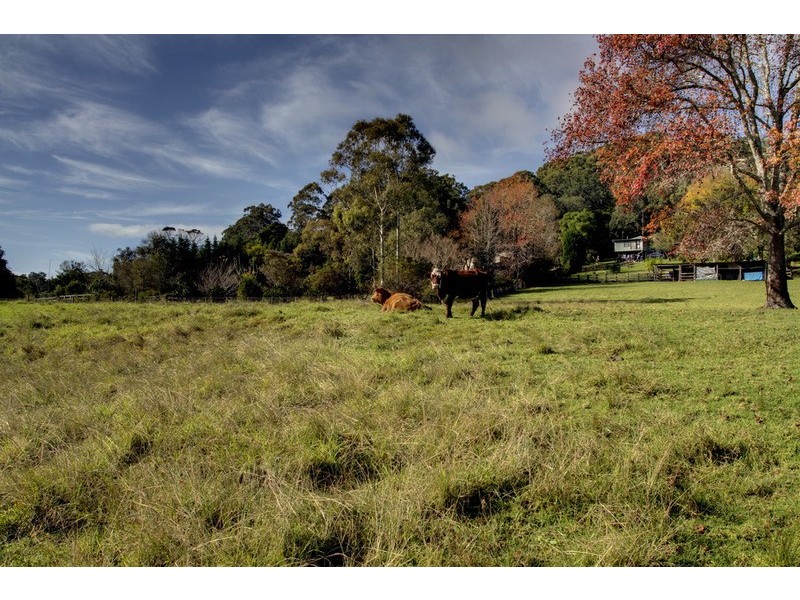 163 Matcham  Road, Matcham NSW 2250